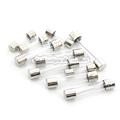 10 assorted glass fuses