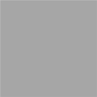 Aérosol McCORMICK grey beige 400ml